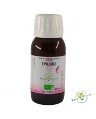 Desmodium extrait hydroalcoolique Bio