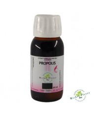 Propolis extrait hydroalcoolique herboristerie du palais royal paris