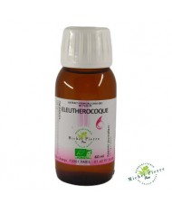 Eleuthérocoque extrait hydroalcoolique Bio herboristerie du palais royal Eleuthérocoque extrait hydroalcoolique Bio herboristerie du palais royal