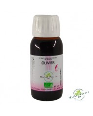 Olivier extrait hydroalcoolique Bio herboristerie du palais royal paris Olivier extrait hydroalcoolique Bio herboristerie du palais royal paris
