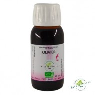 Olivier extrait hydroalcoolique Bio herboristerie du palais royal paris Olivier extrait hydroalcoolique Bio herboristerie du palais royal paris