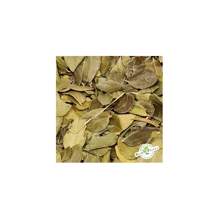 Jujubier en vrac herboristerie du Palais Royal paris