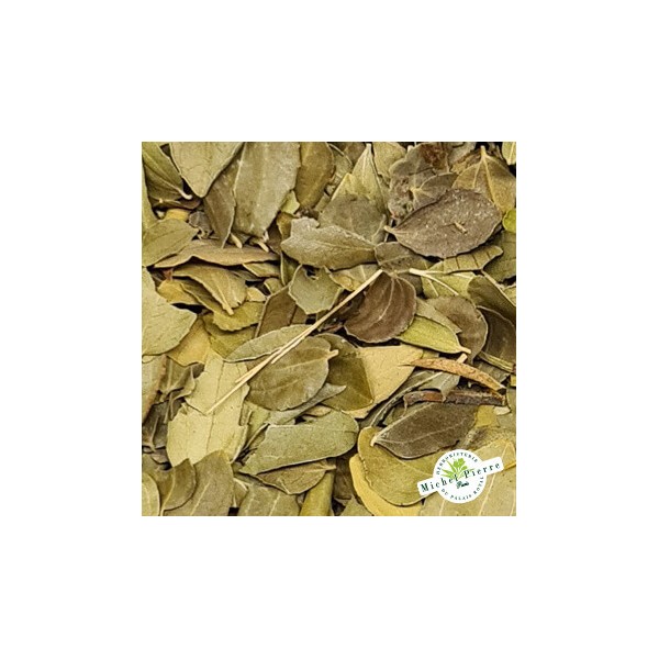 Jujubier en vrac herboristerie du Palais Royal paris