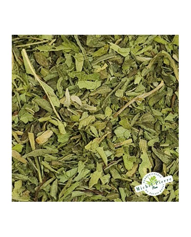 Stevia - Feuille en vrac herboristerie du Palais Royal Paris Stevia - Feuille en vrac herboristerie du Palais Royal Paris