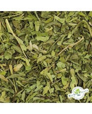 Stevia - Feuille en vrac herboristerie du Palais Royal Paris