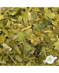 Gymnema sylvestris - Feuilles en vrac herboristerie du Palais Royal paris