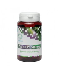 Cardère en gélules - Distriform Herboristerie du Palais Royal