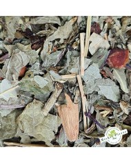 Tisane du Centenaire herboristerie du Palais Royal Michel Pierre Paris Tisane du Centenaire herboristerie du Palais Royal Michel Pierre Paris