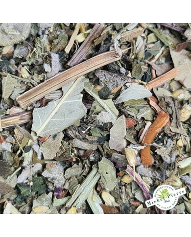 Tisane Elimination herboristerie du Palais Royal Michel Pierre Paris