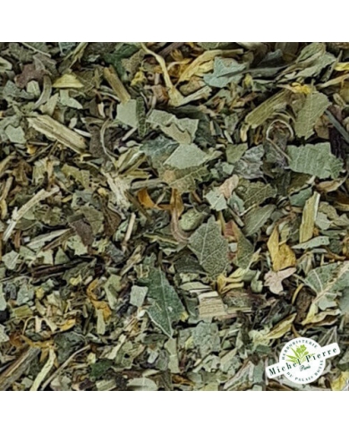 Tisane de tous les temps herboristerie du Palais Royal Michel Pierre Paris