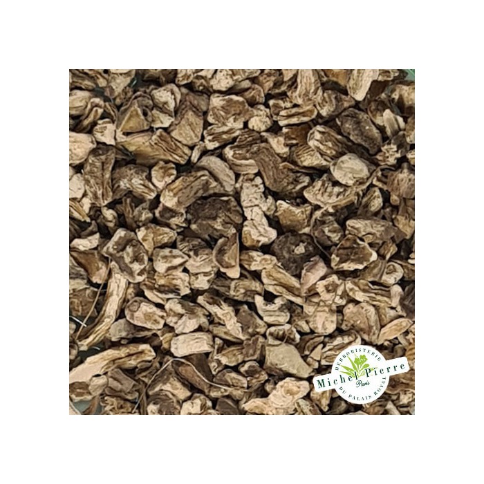 Cardere détail racine Herboristerie du Palais Royal Paris Michel Pierre