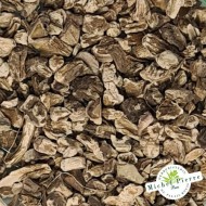 Cardere détail racine Herboristerie du Palais Royal Paris Michel Pierre