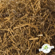 Arénaria (Sabline) - partie aérienne en vrac Herboristerie du Palais Royal Paris Arénaria (Sabline) - partie aérienne en vrac Herboristerie du Palais Royal Paris