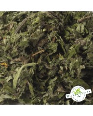 Armoise - Feuilles en vrac Herboristerie du Palais Royal Paris Armoise - Feuilles en vrac Herboristerie du Palais Royal Paris