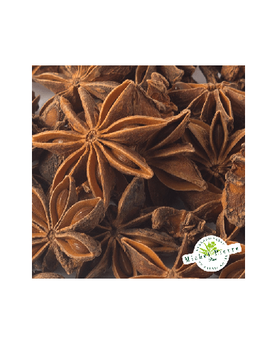 Armoise - Feuilles en vrac Badiane (Anis étoilé) - Fruit en vrac
