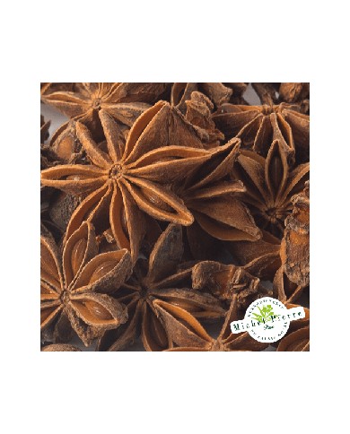 Anis étoilé Badiane Bio - Illicium verum - Fruit entier - Sachet Vrac 50g