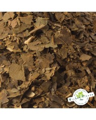 Avocatier - Feuilles en vrac Herboristerie du Palais Royal Paris Michel Pierre Avocatier - Feuilles en vrac Herboristerie du Palais Royal Paris Michel Pierre