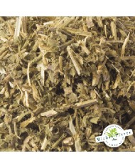 Avocatier - Feuilles en vrac Herboristerie du Palais Royal Michel Pierre Paris Avocatier - Feuilles en vrac Herboristerie du Palais Royal Michel Pierre Paris