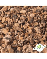 Bistorte - Racines en vrac Herboristerie du Palais Royal Michel Pierre Paris