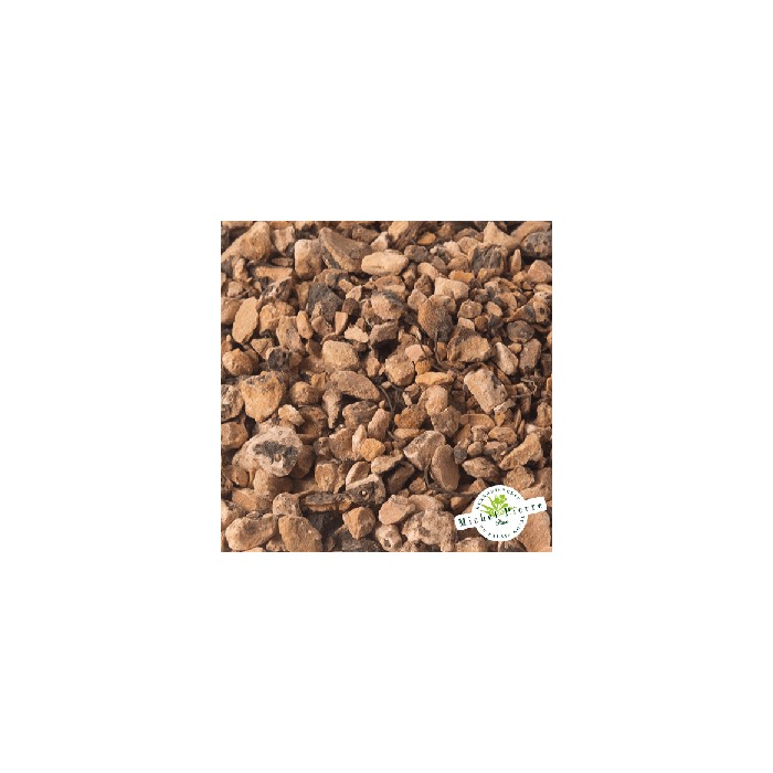 Bistorte - Racines en vrac Herboristerie du Palais Royal Michel Pierre Paris