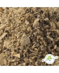 Bouillon blanc - Sommités en vrac Herboristerie du Palais Royal Paris Michel Pierre Bouillon blanc - Sommités en vrac Herboristerie du Palais Royal Paris Michel Pierre