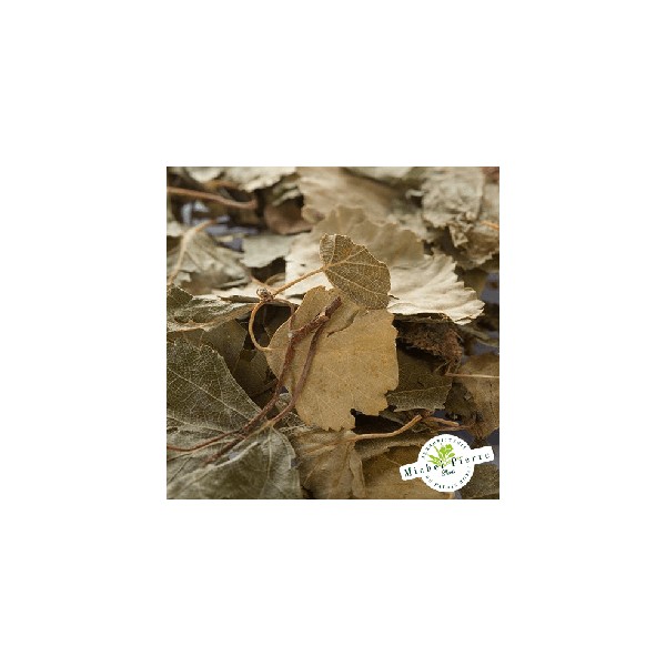 Bouleau - Feuilles en vrac Herboristerie du Palais Royal Paris Michel Pierre