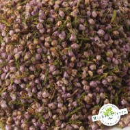 Bruyère - Fleurs en vrac Herboristerie du Palais Royal Paris Michel Pierre Bruyère - Fleurs en vrac Herboristerie du Palais Royal Paris Michel Pierre