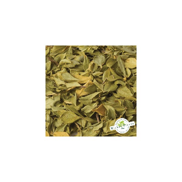 Buchu - Feuilles en vrac Herboristerie du Palais Royal Paris Michel Pierre
