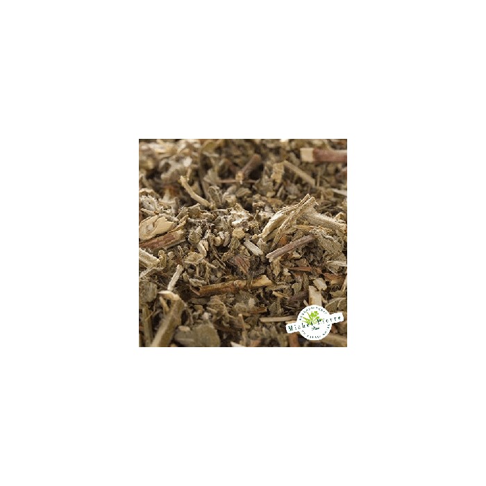 Calament partie aérienne en vrac Herboristerie du Palais Royal Paris Michel Pierre