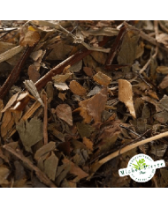 Capillaire vert - Fronde en vrac Herboristerie du Palais Royal Paris Michel Pierre