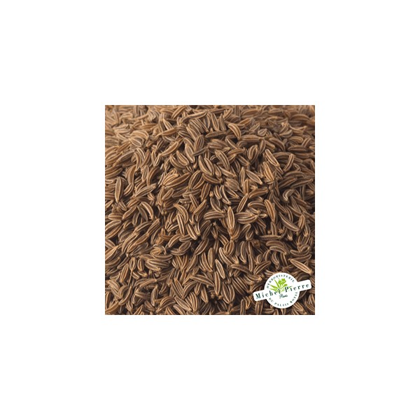 Carvi noir - Fruit en vrac Herboristerie du Palais Royal Paris Michel Pierre