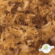 Carragaheen thalle en vrac - Herboristerie du Palais Royal Paris - Michel Pierre