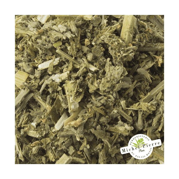 Cataire - parties aérienne en vrac - Herboristerie du Palais Royal Paris - Michel Pierre