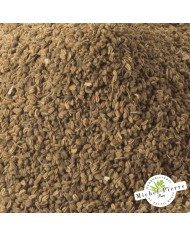 Céleri - semences en vrac - Herboristerie du Palais Royal Paris - Michel Pierre Céleri - semences en vrac - Herboristerie du Palais Royal Paris - Michel Pierre