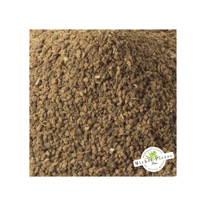 Céleri - semences en vrac - Herboristerie du Palais Royal Paris - Michel Pierre