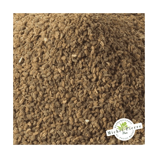 Céleri - semences en vrac - Herboristerie du Palais Royal Paris - Michel Pierre