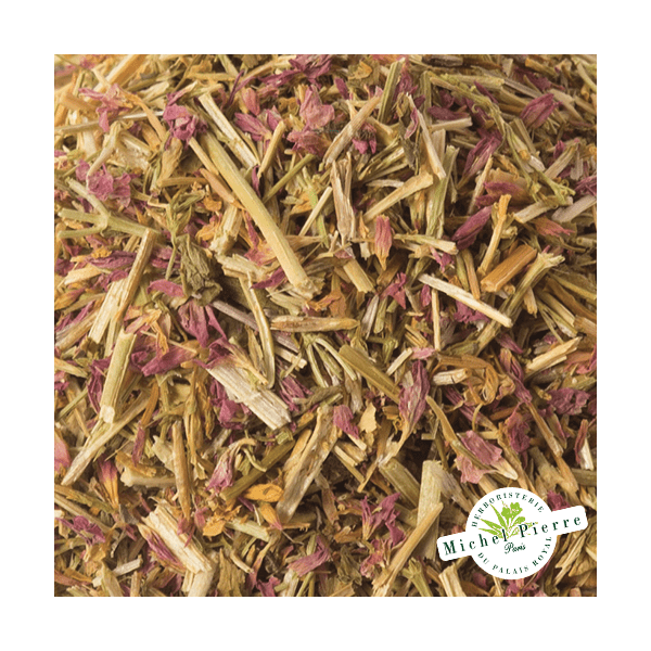 Centaurée double - sommités en vrac - Herboristerie du Palais Royal Paris - Michel Pierre