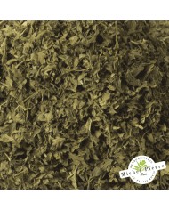 Cerfeuil - Feuilles en vrac Herboristerie du Palais Royal Paris - Michel Pierre Cerfeuil - Feuilles en vrac Herboristerie du Palais Royal Paris - Michel Pierre