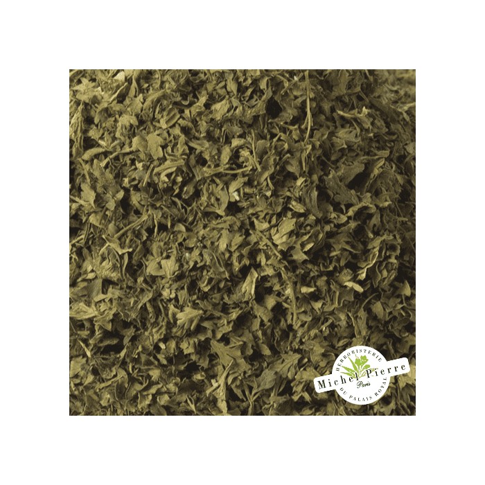 Cerfeuil - Feuilles en vrac Herboristerie du Palais Royal Paris - Michel Pierre