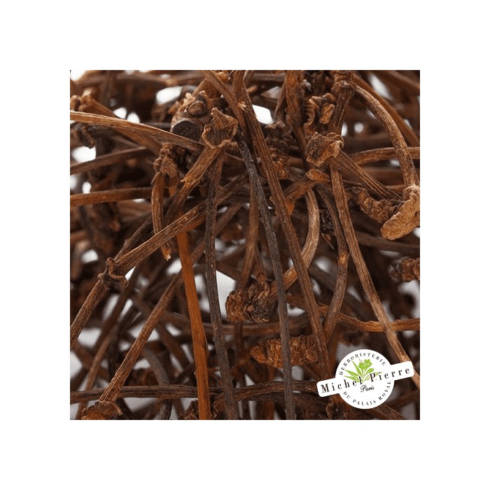 Cerises - Queues en Vrac Herboristerie du Palais Royal Paris - Michel Pierre