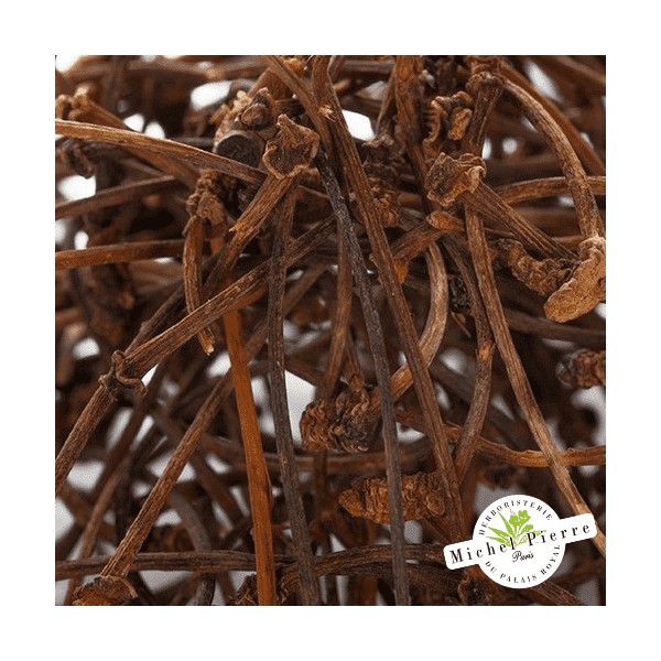 Cerises - Queues en Vrac Herboristerie du Palais Royal Paris - Michel Pierre