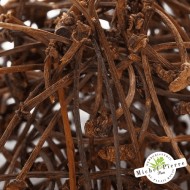 Cerises - Queues en Vrac Herboristerie du Palais Royal Paris - Michel Pierre