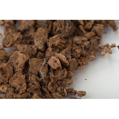 Nénuphar - Racines en vrac