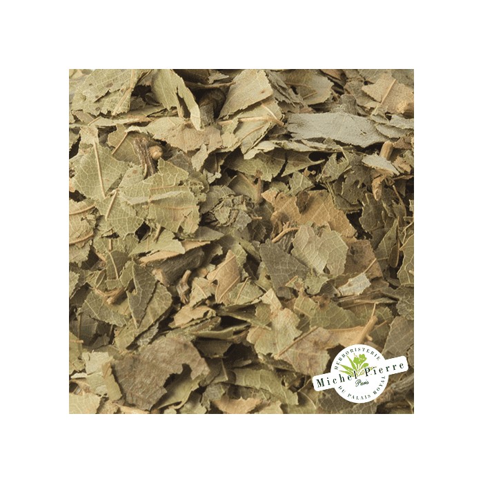 Chataignier - feuilles en vrac HERBORISTERIE DU PALAIS ROYAL PARIS MICHEL PIERRE