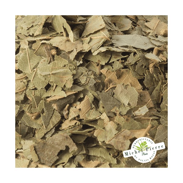 Chataignier - feuilles en vrac HERBORISTERIE DU PALAIS ROYAL PARIS MICHEL PIERRE