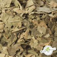 Chataignier - feuilles en vrac HERBORISTERIE DU PALAIS ROYAL PARIS MICHEL PIERRE