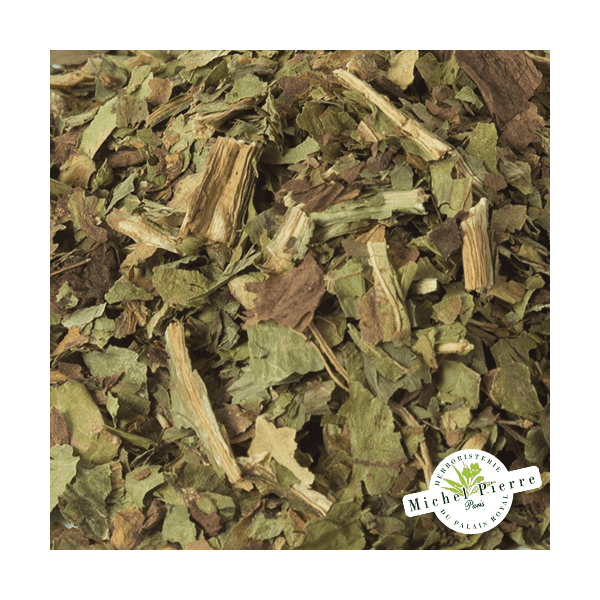 Chicorée sauvage - partie aérienne en vrac HERBORISTERIE DU PALAIS ROYAL PARIS MICHEL PIERRE
