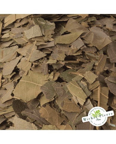 Combretum Kinkéliba - Feuilles en vrac HERBORISTERIE DU PALAIS ROYAL PARIS MICHEL PIERRE Combretum Kinkéliba - Feuilles en vrac HERBORISTERIE DU PALAIS ROYAL PARIS MICHEL PIERRE