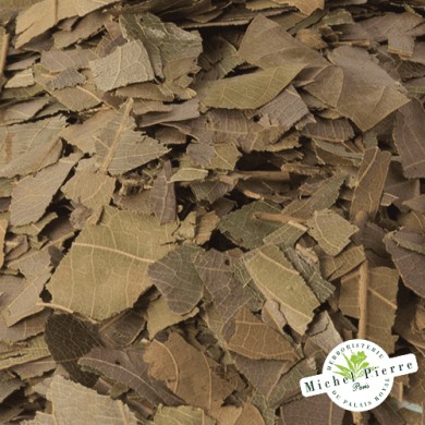 Combretum Kinkéliba - Feuilles en vrac HERBORISTERIE DU PALAIS ROYAL PARIS MICHEL PIERRE Combretum Kinkéliba - Feuilles en vrac HERBORISTERIE DU PALAIS ROYAL PARIS MICHEL PIERRE