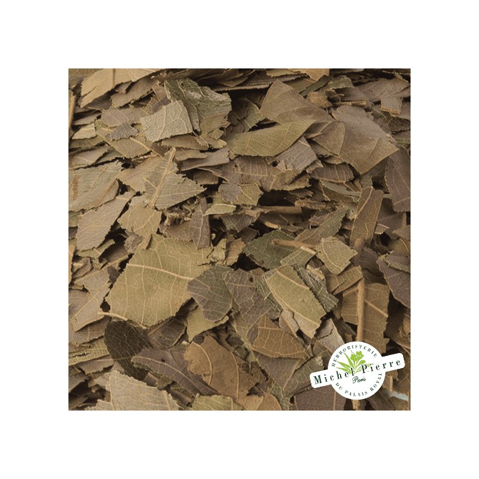 Combretum Kinkéliba - Feuilles en vrac HERBORISTERIE DU PALAIS ROYAL PARIS MICHEL PIERRE